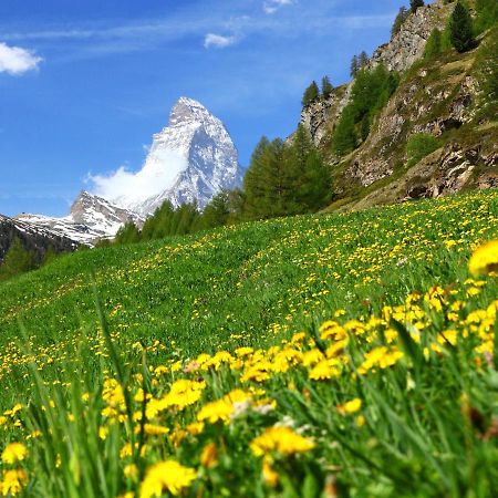 Apartment Monazit By Interhome Zermatt Bagian luar foto